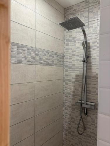 une douche avec pommeau de douche dans une salle de bain dans l'établissement Gîte à la campagne 4, à Cérans-Foulletourte