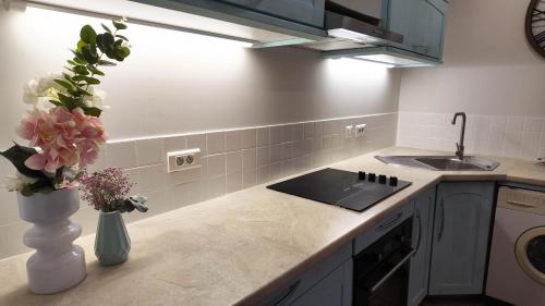 Køkken eller tekøkken på Gite L'Eglantier avec piscine chauffée