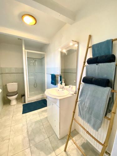 une salle de bain avec un lavabo et des toilettes dans l'établissement Belle demeure au coeur des Ménafauries, à Charmes-sur-Rhône