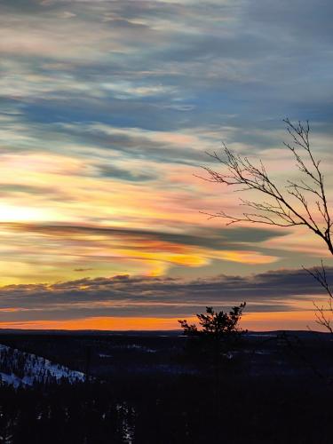 a sunset in the sky with a tree in the foreground at Isokelo Log Apartments in Salla