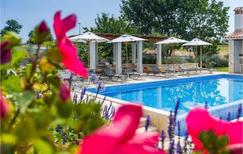 Πισίνα στο ή κοντά στο Villa Terrarossa Kastelir