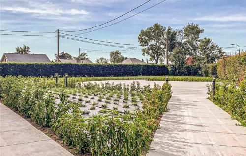 a garden with lots of plants and a sidewalk at Amazing Home In Diksmuide With Wifi in Diksmuide