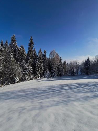 a snow covered field with trees in the background at Przystanek Gorce in Nowy Targ