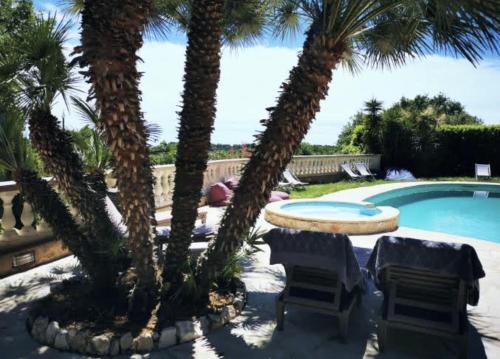 a swimming pool with two palm trees and two chairs at Le Mas de Camassade in Tourrettes-sur-Loup