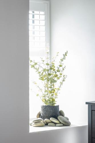 a vase with a plant sitting on a window sill at Barmouth High Street Family Apartment in Barmouth