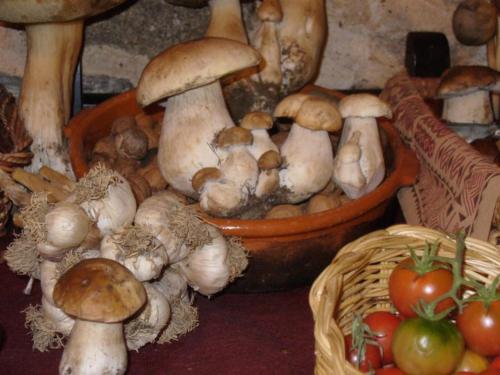 a pile of mushrooms and a basket of tomatoes at La Posada de Pedrazales in Pedrazales