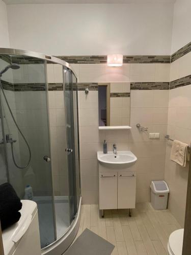 a bathroom with a shower and a sink at Taikos Apartmentai 2 in Druskininkai