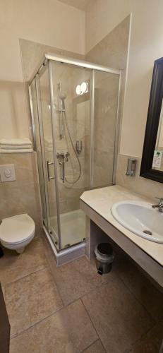 un bagno con doccia, WC e lavandino di Apartment Hotel Citylight a Colonia