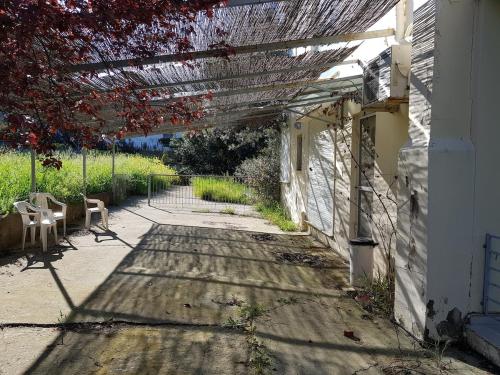 Κήπος έξω από το Beachfront House Villa 35min from Athens