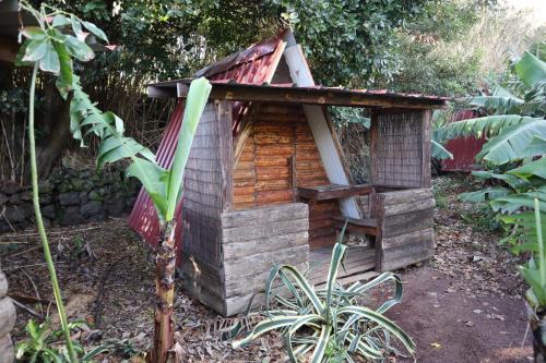 a small wooden dog house in a garden at Banana Eco Camp in Angra do Heroísmo