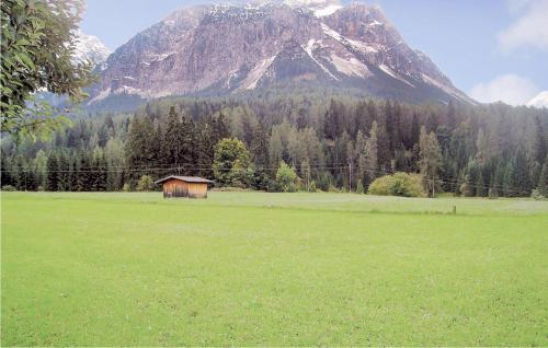 a large green field with a mountain in the background at Helle Ferienwohnung In Ehrwald in Ehrwald
