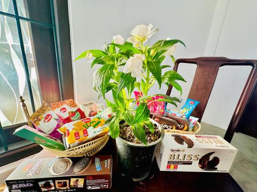 a table with a potted plant and some snacks at Sea Breeze Guest House Negombo in Negombo