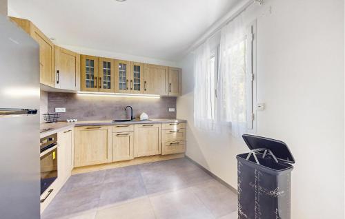 une cuisine avec des armoires en bois, un évier et une fenêtre dans l'établissement 4 Bedroom Amazing Home In Sanilhac, à Clavieras