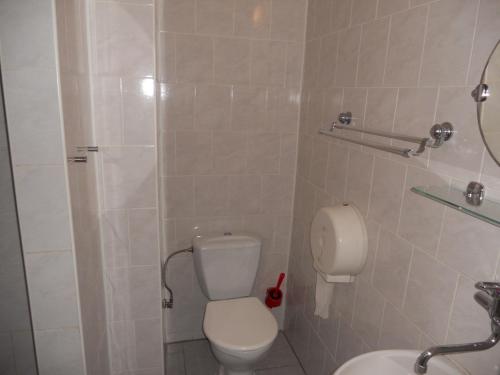 a bathroom with a toilet and a sink at Penzion Kamzík in Česká Kamenice