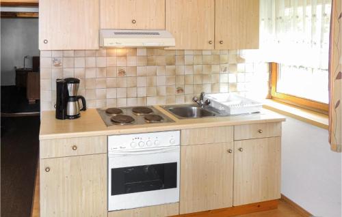Dapur atau dapur kecil di Ferienwohnung Mit Fernblick