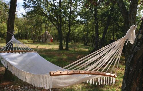 a hammock hanging from a tree in a park at Cozy Home In Kapelica With Wifi in Raša