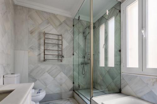 Penthouse with outstanding terrace- 1Bedroom -Goya