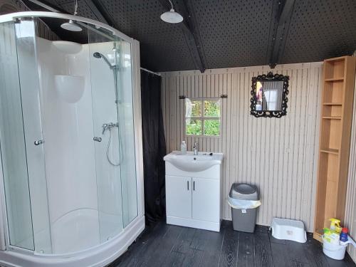 a bathroom with a shower and a sink at Budget stay, in lovely private setting with rustic charm, log burner, fire pit, campers kitchen & Eco Loo NO BEDDING SUPPLIED in Narberth