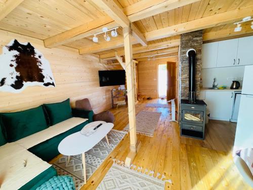a living room with a couch and a stove at Alfa Omega Žabljak in Žabljak