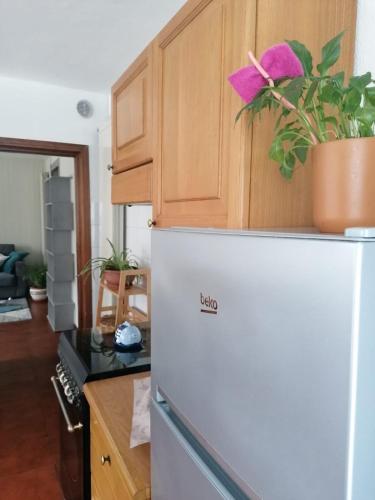 a white refrigerator with a plant on top of it at CasAdelinA in Arnaz
