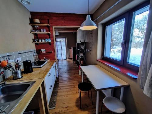 a kitchen with a counter and a sink and a window at Studio in a wooden house in Kounov