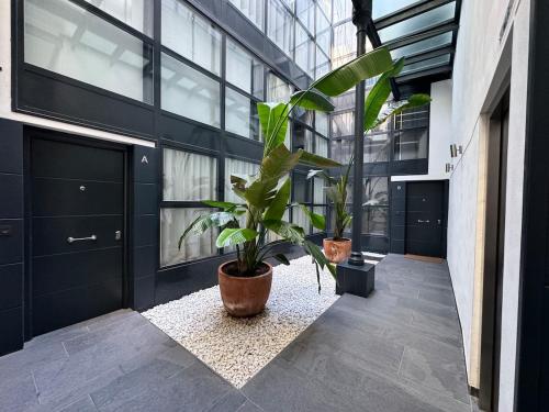 06 Alameda Luxury