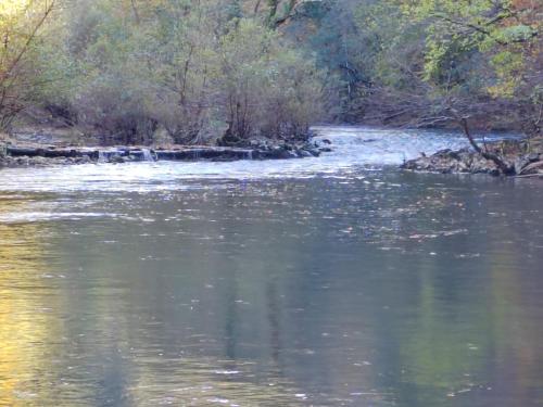 a body of water with trees in the background at Brkinka Apartments in Vremski Britof