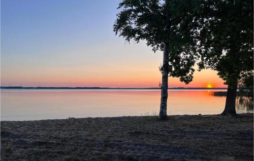 two trees on the shore of a lake at sunset at Awesome Home In Hörby With Wifi in Hörby