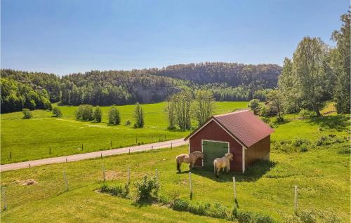 two horses standing in a field next to ashed at Awesome Home In Fjällbacka With Wifi in Fjällbacka