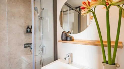 カネ・アン・ルシヨンにあるCamping 4 étoiles - Piscine - ccaaeagの洗面台と鏡付きシャワーを備えたバスルーム