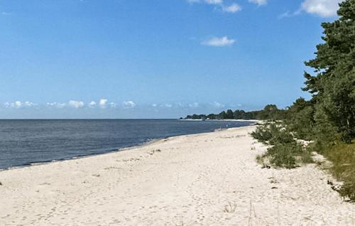 a sandy beach with trees and the ocean at 4 Bedroom Cozy Home In Beddingestrand in Beddinge Strand