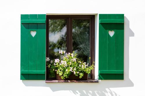 a window with green shutters and a pot of flowers at Haus 44 in Liběšice