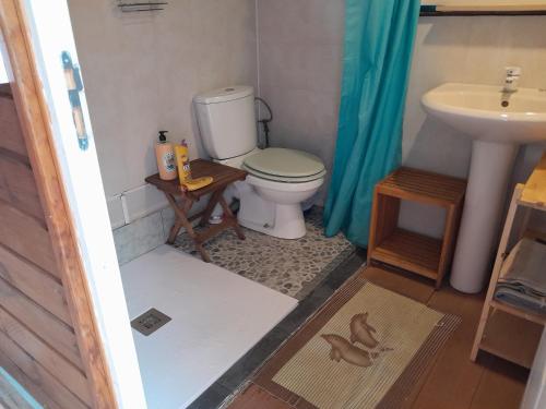 une salle de bains avec toilettes et lavabo dans l'établissement Chez Françoise, à Cilaos