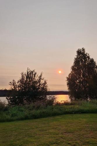 a sunset over a body of water with two trees at Knutes pensionat in Svansele