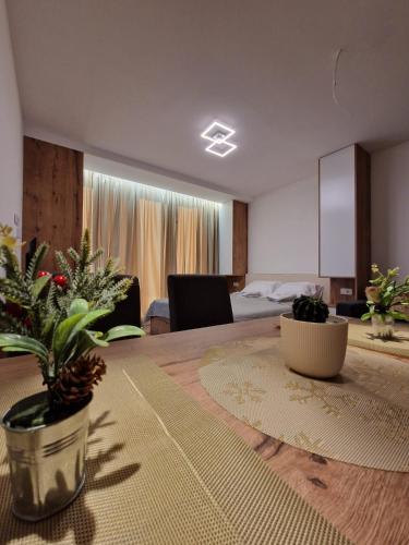 a room with a table with two potted plants on it at Kopaonik apartment A05 in Kopaonik