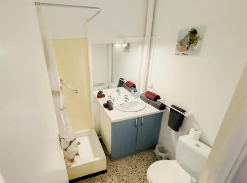 un bagno con lavandino, WC e specchio di La petite frégate Studio idéal curiste a Balaruc-les-Bains