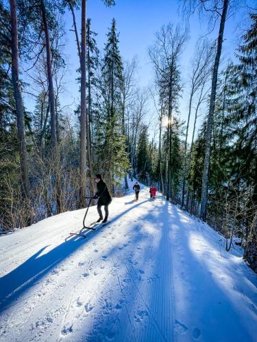 two people cross country skiing down a snow covered road at Nelijärve Holiday Centre in Aegviidu