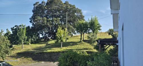 a view of a field with trees on a hill at Matzuri Nekazal Turismoa in Mutriku