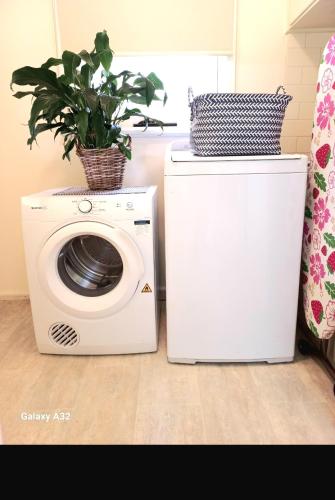 a washing machine with a plant on top of it at HUNTER COTTAGE EUROA - "A great weekend escape" in Euroa