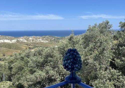 Ein Haufen Trauben auf einer blauen Stange in der Unterkunft Villa Acquaro Santa Caterina Dello Ionio With Pool in Santa Caterina dello Ionio