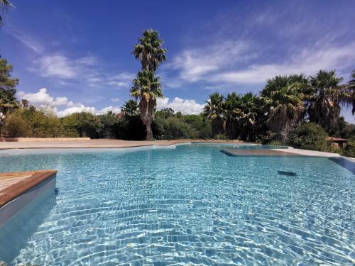 une piscine avec de l'eau bleue et des palmiers dans l'établissement T 4 spacieux bord de mer avec piscine chauffée, à Pianottoli-Caldarello