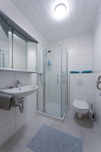 a bathroom with a shower and a sink and a toilet at Ferienweingut Jürgen Beth Parterre in Kröv
