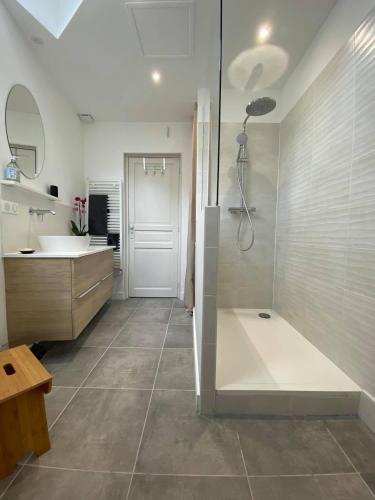une salle de bain avec douche et lavabo dans l'établissement Magnifique Appartement Vieux Port Refait à Neuf, à La Rochelle