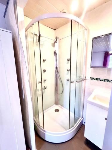 une douche avec une porte vitrée dans une salle de bain dans l'établissement Appartement en plein centre-ville Gare Darcy, à Dijon