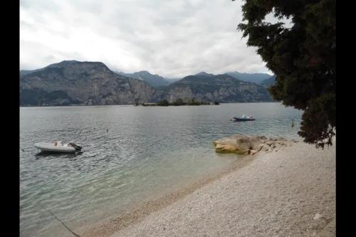 Φυσικό τοπίο κοντά σε αυτό το διαμέρισμα