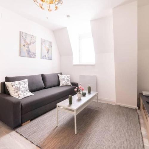 un salon avec un canapé et une table basse dans l'établissement Franklin City, à Mulhouse