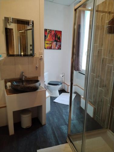 une salle de bain avec un lavabo et des toilettes dans l'établissement Gîte La Rose des Alpes à Serres, 3 chambres, capacité 4 à 8 personnes, Cuisine, Terrasse, Parking et Garage, à Serres