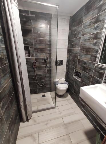 a bathroom with a shower with a toilet and a sink at Ilaira Beach Apartments in Chrani