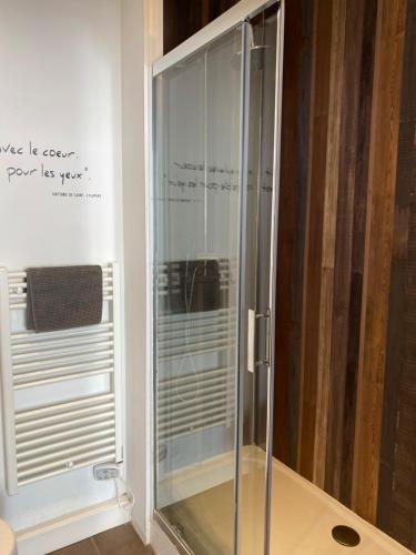 La salle de bains est pourvue d'une douche en verre et d'un panneau mural. dans l'établissement Appartement centre ville Marseille avec parking, à Marseille
