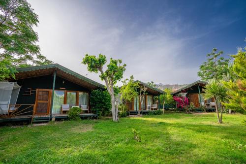 a row of cottages with a green yard at Etenna Beach Bungalows in Cıralı
